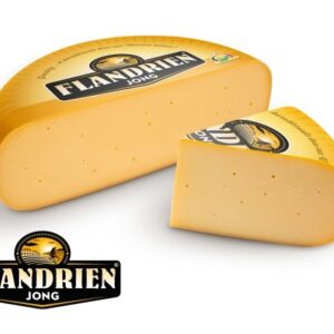Flandrien jeune