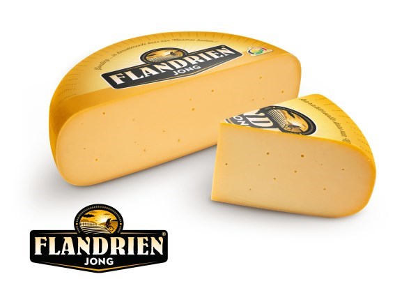 Flandrien jeune